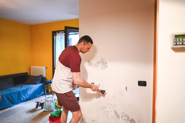 Best Crawl Space Mold Removal  in Hammonton, NJ